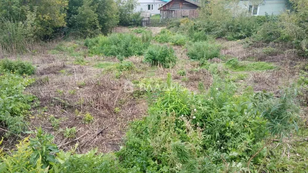 Участок в Алтайский край, Бийск ул. Льва Толстого (7.0 сот.) - Фото 1