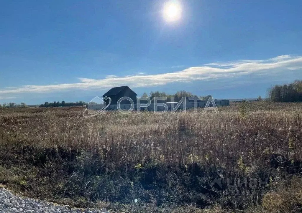 Участок в Тюменская область, Тюменский район, Новокаменский кп ул. ... - Фото 1