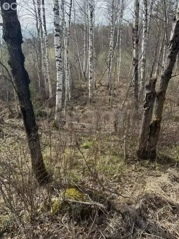 Участок в Первомайский район, посёлок Заречный (5 м) - Фото 1