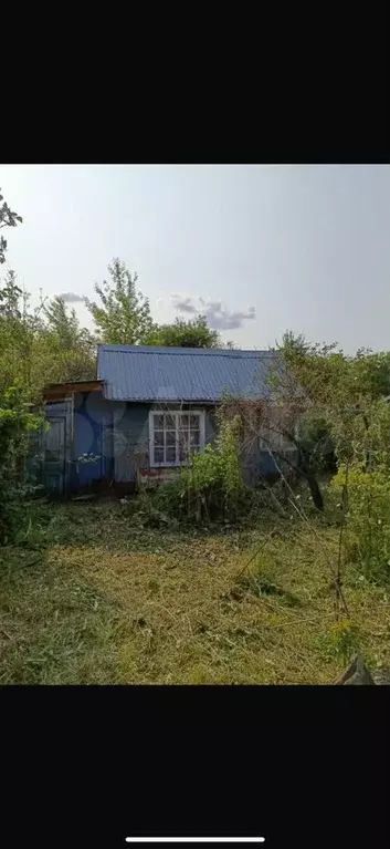 Дача 18,5 м на участке 6 сот. - Фото 1