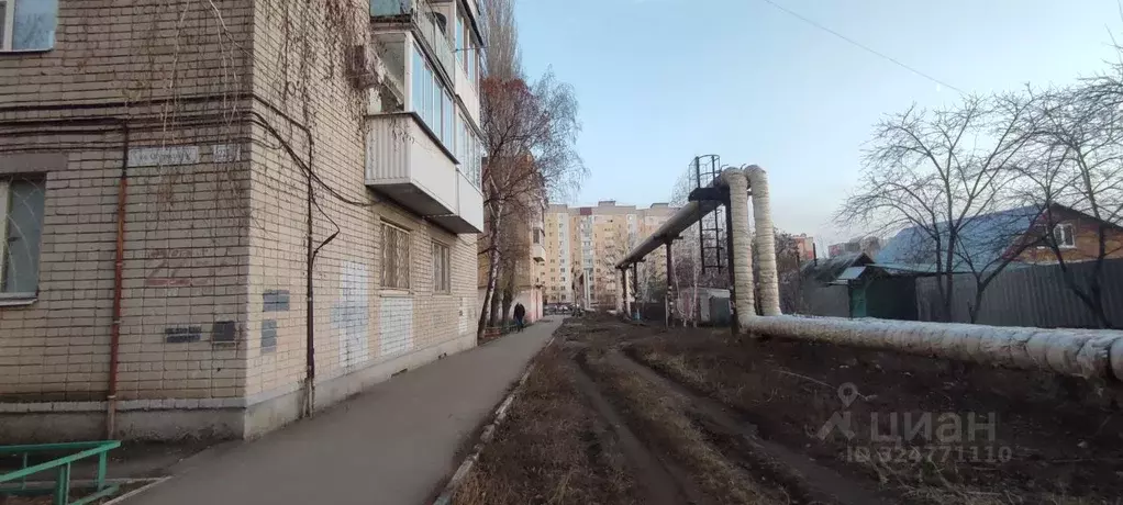 2-к кв. Саратовская область, Саратов Огородная ул., 225А (39.8 м) - Фото 2