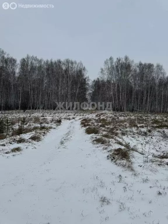 Участок в село Томилово, улица Мира (100 м) - Фото 0