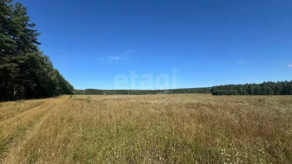 Участок в Нижегородская область, Балахнинский муниципальный округ, д. ... - Фото 1