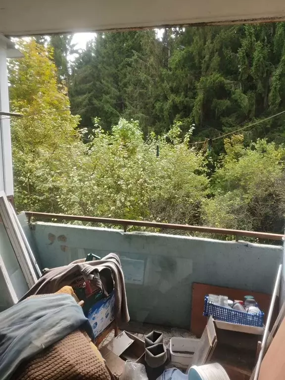 2-к кв. Московская область, Можайский муниципальный округ, пос. ... - Фото 1