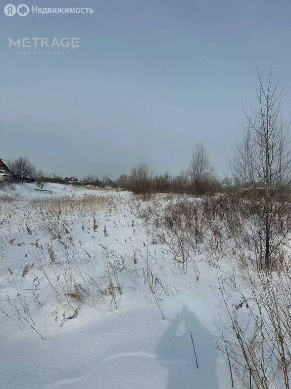 Участок в Колыванский район, садоводческое некоммерческое товарищество ... - Фото 0