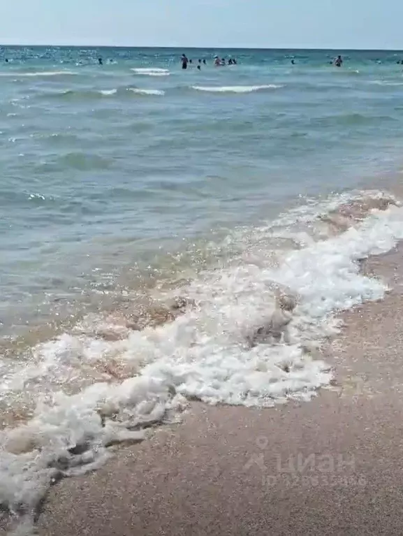 Участок в Крым, Сакский район, с. Штормовое  (6.0 сот.) - Фото 2