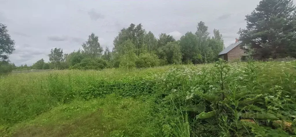 Участок в Московская область, Талдомский городской округ, д. Акишево  ... - Фото 0