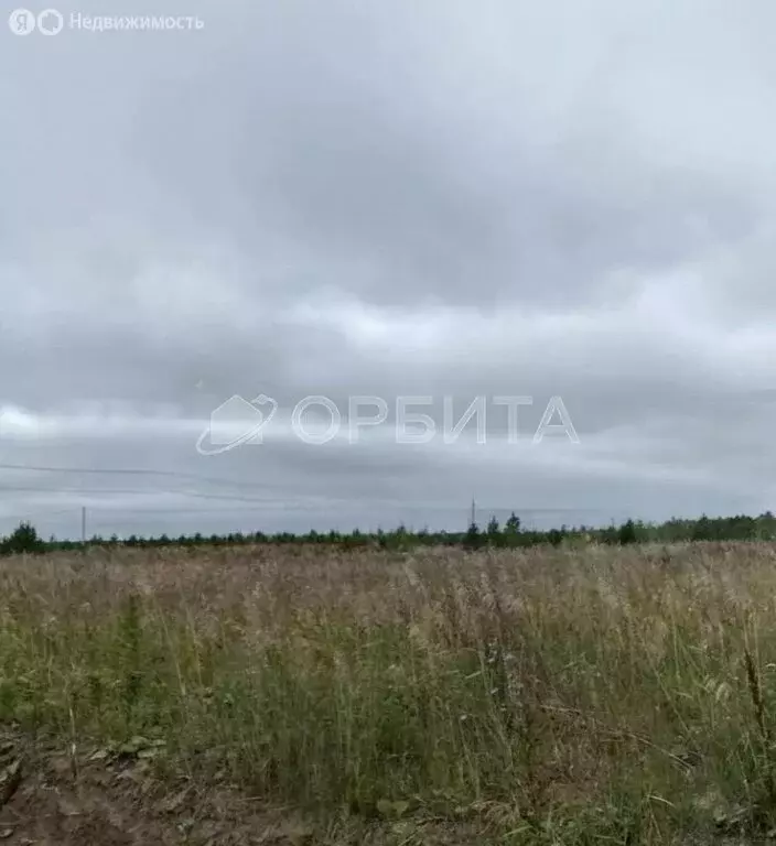 Участок в Нижнетавдинский район, деревня Московка, 1-я линия, 14 (10 ... - Фото 1