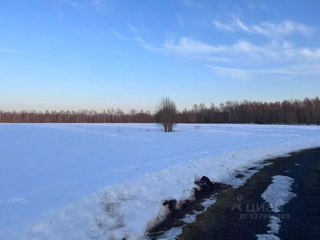 Участок в Московская область, Талдом пл. К. Маркса (1100.0 сот.) - Фото 2