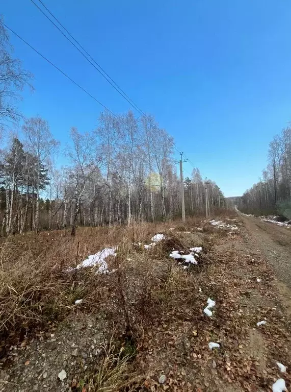 Участок в Иркутская область, Иркутский муниципальный округ, Славное ... - Фото 2