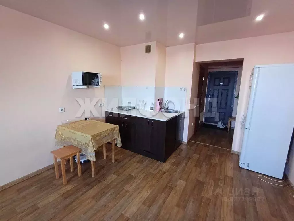 1-к кв. Новосибирская область, Новосибирск Ударная ул., 25/1 (25.0 м) - Фото 2