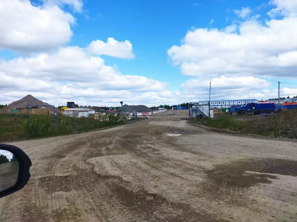 Участок в Нижегородская область, Арзамас городской округ, с. Ковакса  ... - Фото 0