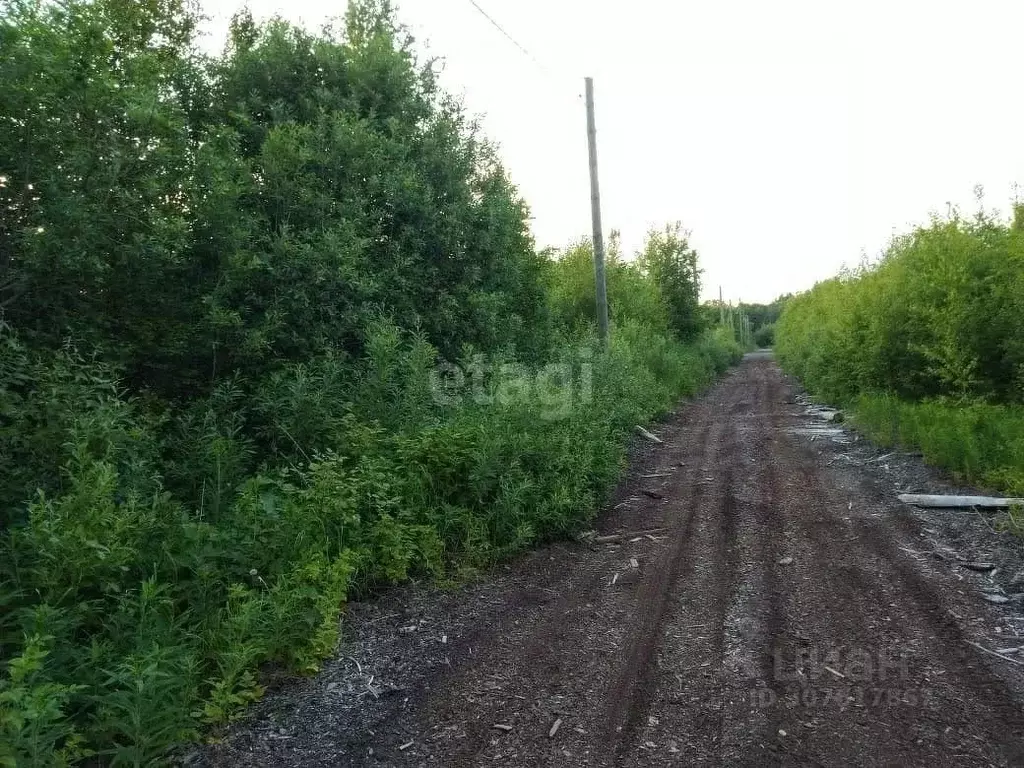 Участок в Архангельская область, Северодвинск  (10.0 сот.) - Фото 1