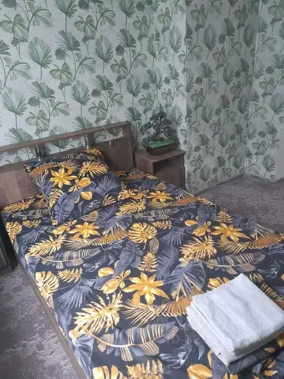 3-к кв. Краснодарский край, Усть-Лабинск Школьная ул., 75 (52.0 м) - Фото 1