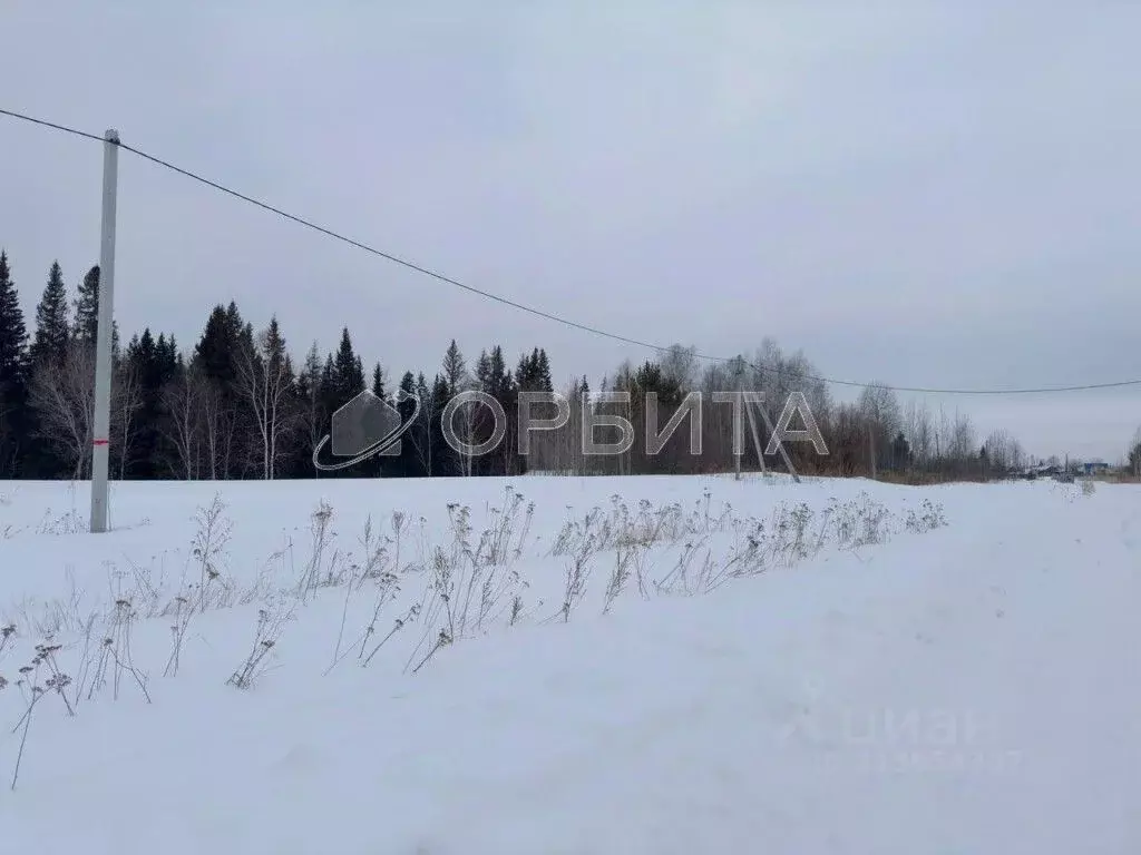 Участок в Тюменская область, Тюменский район, д. Есаулова ул. Гайдара, ... - Фото 0