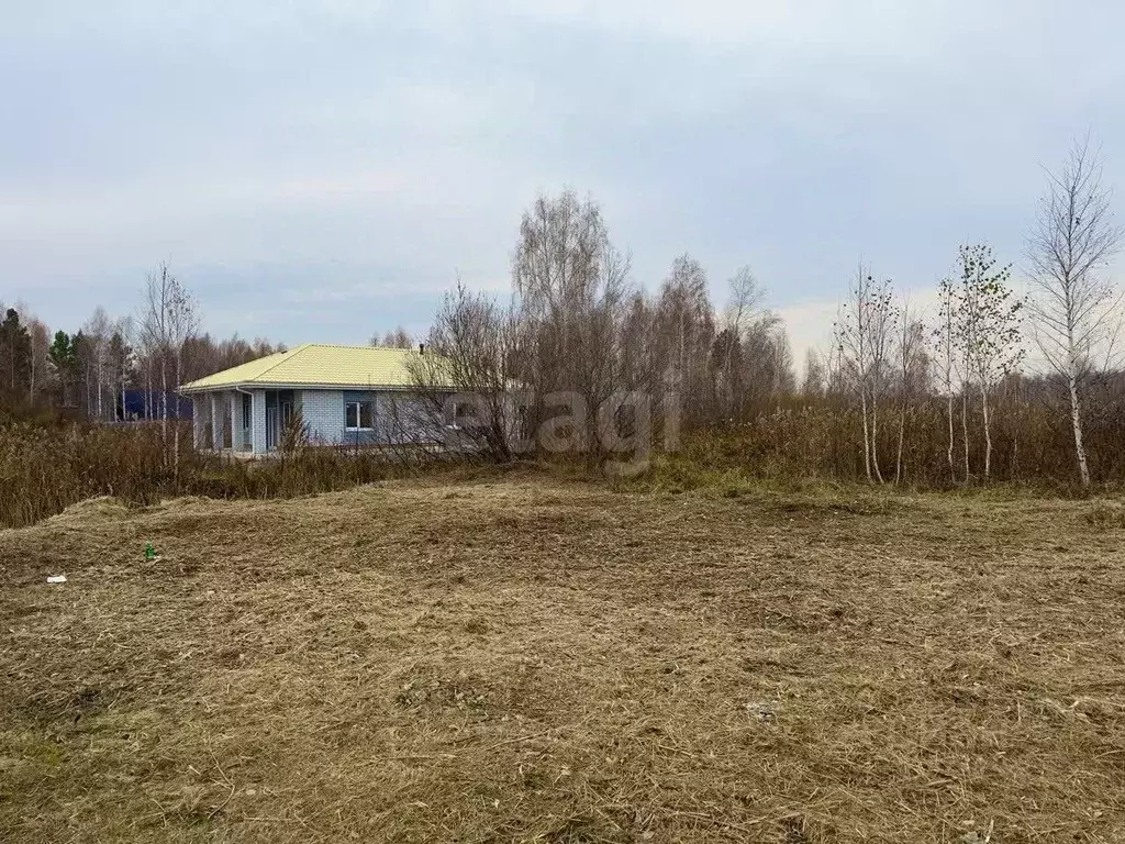 Дом в Тюменская область, Нижнетавдинский муниципальный округ, ... - Фото 0