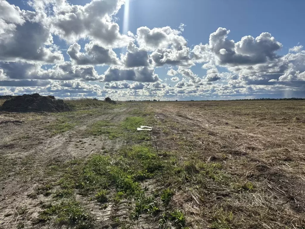 Участок в Ленинградская область, Ломоносовский район, Копорское с/пос  ... - Фото 1