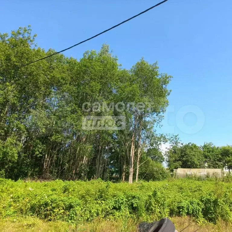 Участок 7,5 сот. (ИЖС) - Фото 1