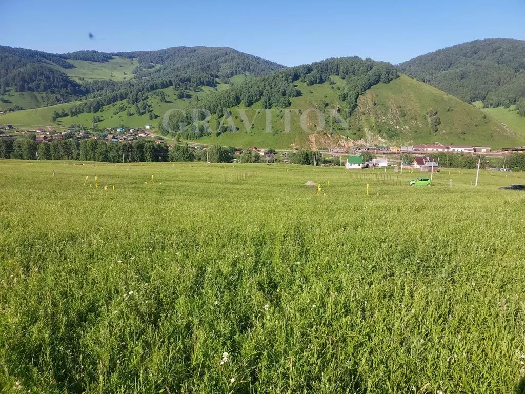 Участок в Алтай, Майминский район, с. Бирюля ул. Таркольская (12.0 ... - Фото 1