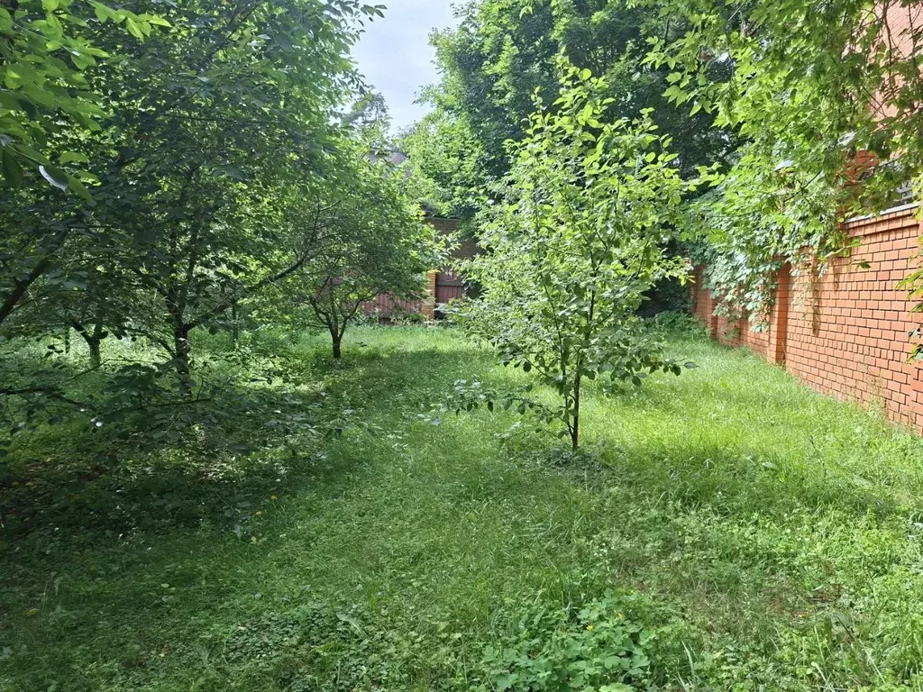 Участок в Московская область, Люберцы городской округ, Малаховка пгт ... - Фото 2