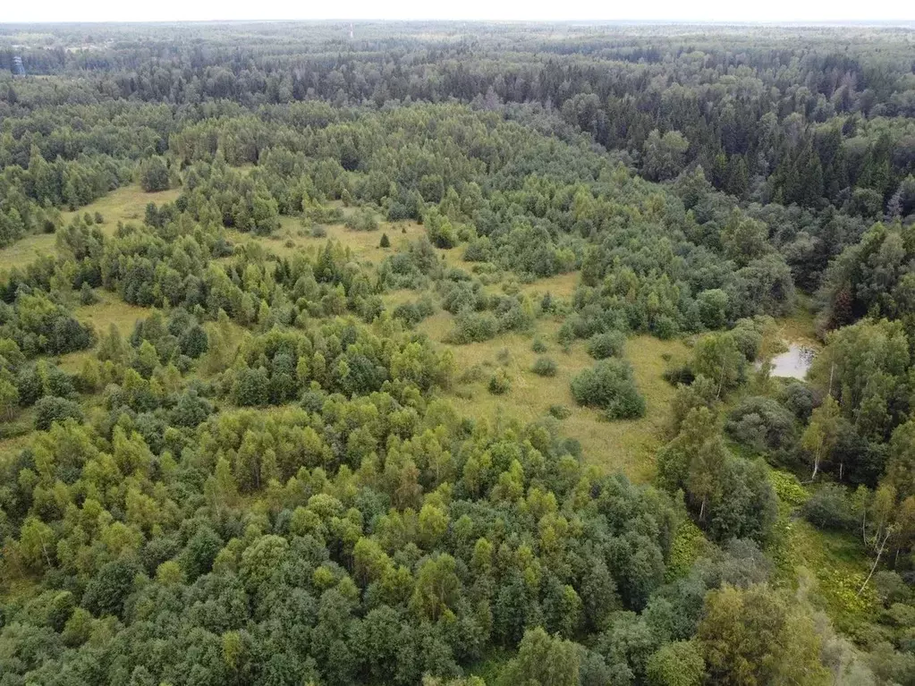 Участок в Московская область, Волоколамский муниципальный округ, д. ... - Фото 1