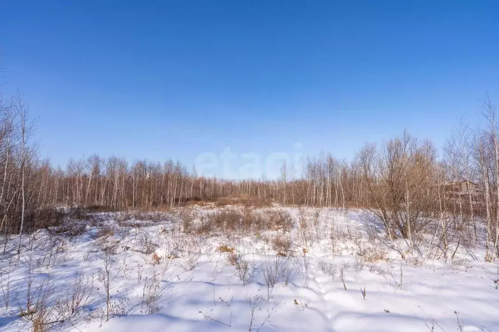 Участок в Хабаровский край, Хабаровский район, с. Мирное  (10.0 сот.) - Фото 1