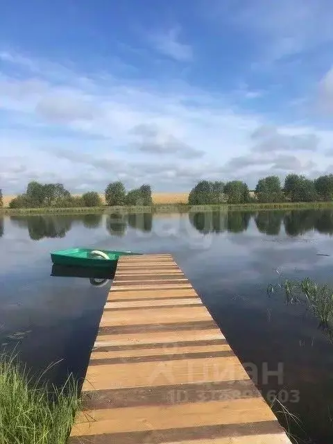 Участок в Кировская область, Слободской район, Денисовское с/пос, д. ... - Фото 0