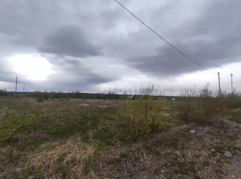 Участок в Свердловская область, Белоярский городской округ, д. Ялунина ... - Фото 0