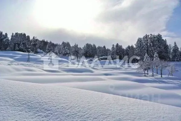 Участок в Владимирская область, Владимир ул. Еланская (7.65 сот.) - Фото 1