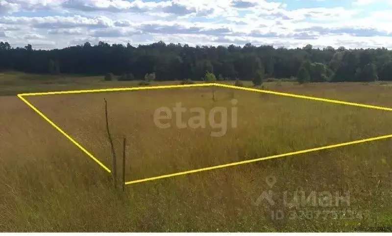 Участок в Ставропольский край, Шпаковский муниципальный округ, с. ... - Фото 2