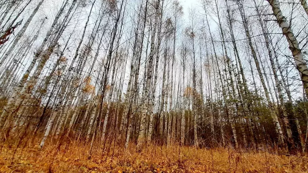 Участок в Кировская область, Слободской район, Шиховское с/пос, д. ... - Фото 2