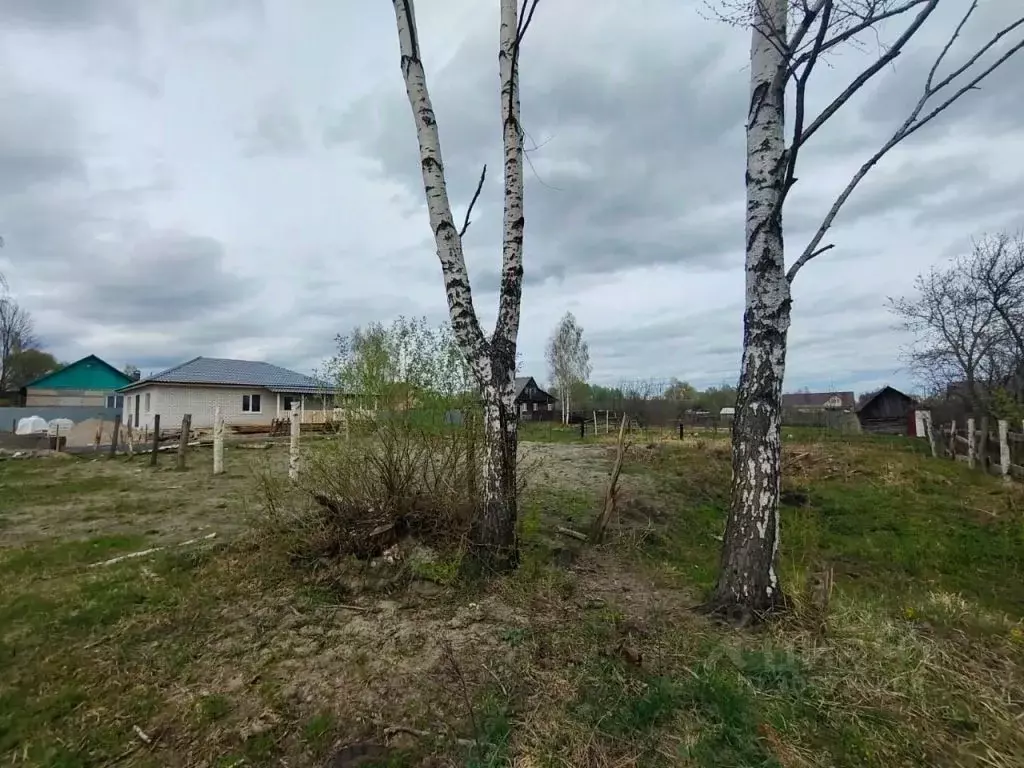 Участок в Брянская область, Брянск Большое Полпино пгт, пер. 3-й ... - Фото 0