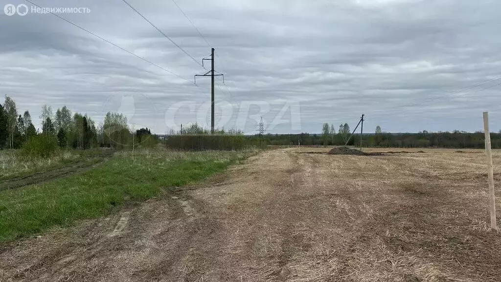 Участок в Свердловская область, Тугулымский муниципальный округ, ... - Фото 0