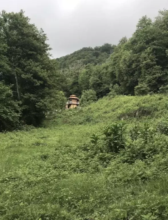 Дом в Краснодарский край, Сочи городской округ, с. Верхнерусское Лоо ... - Фото 1
