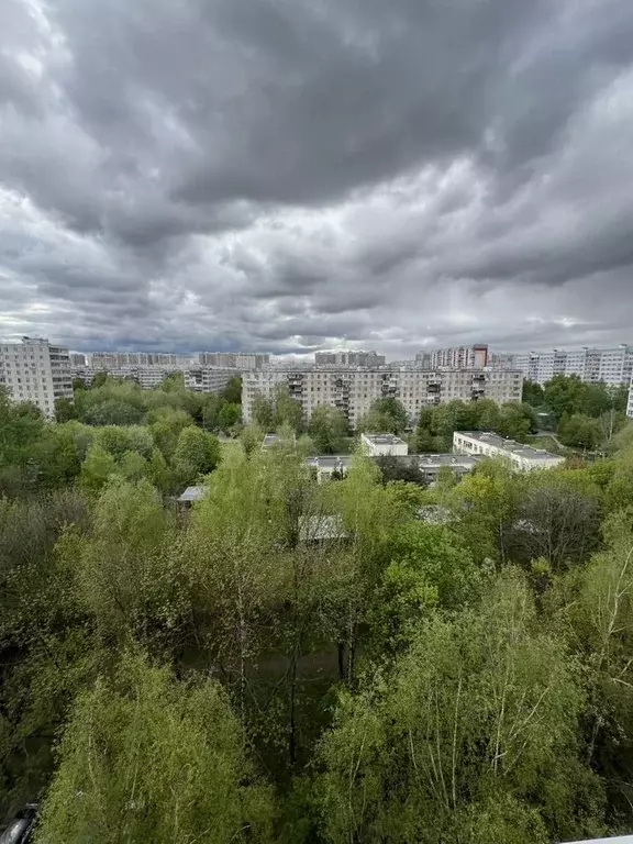 2-к. квартира, 55 м, 7/14 эт. - Фото 0