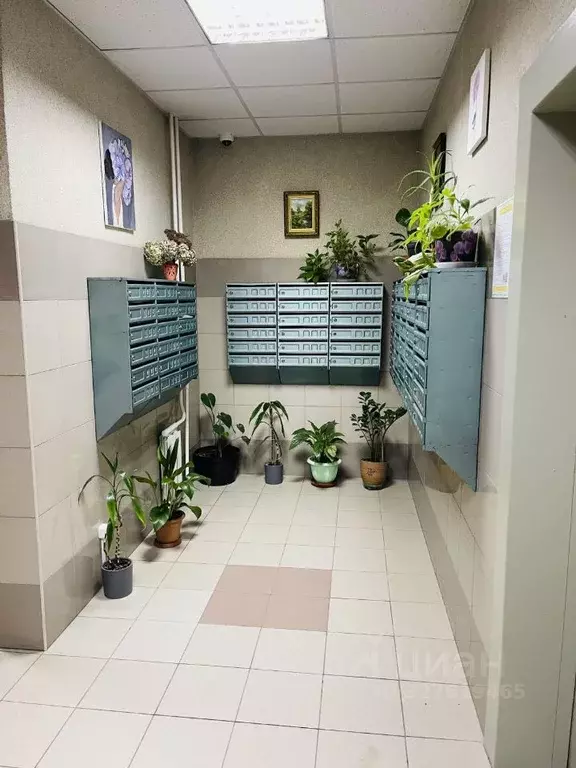 2-к кв. Москва ул. Академика Анохина, 4К2 (84.0 м) - Фото 2