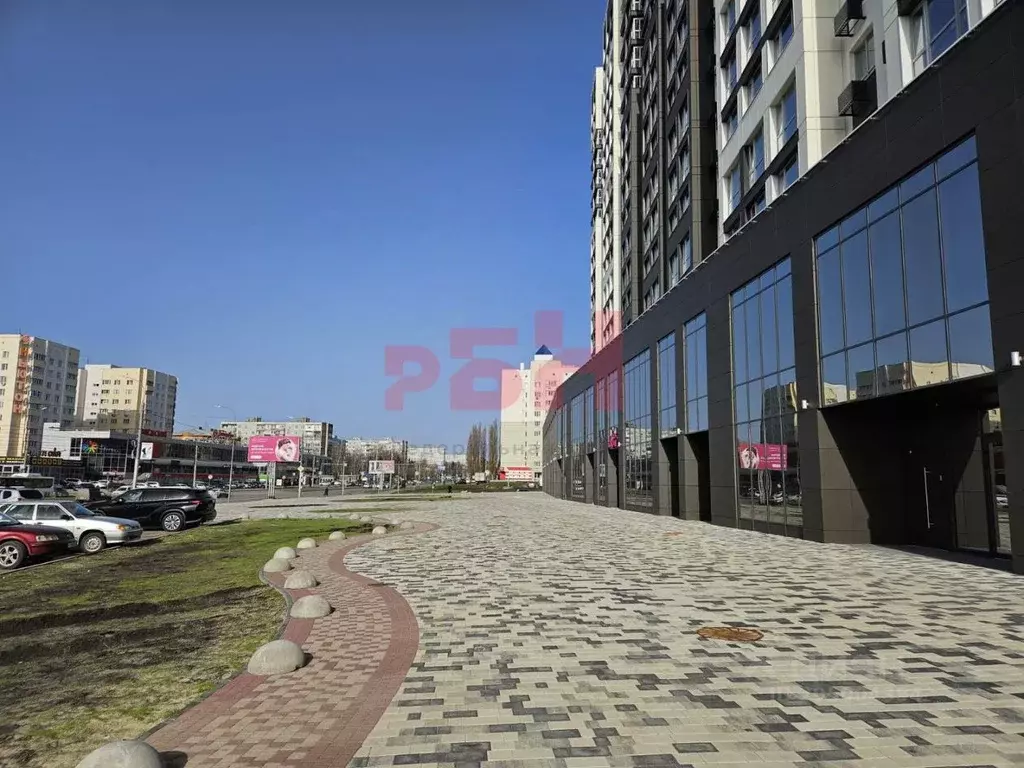 Торговая площадь в Пензенская область, Пенза ул. Лозицкой (259 м) - Фото 2