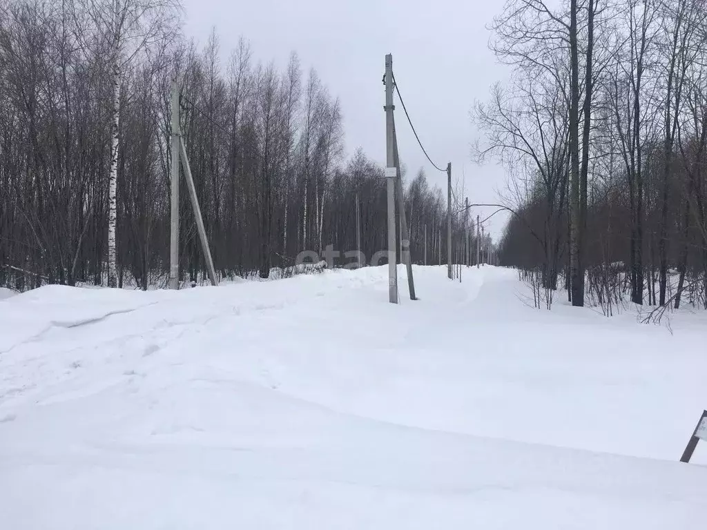 Участок в Вологодская область, Череповецкий район, Югское ... - Фото 0