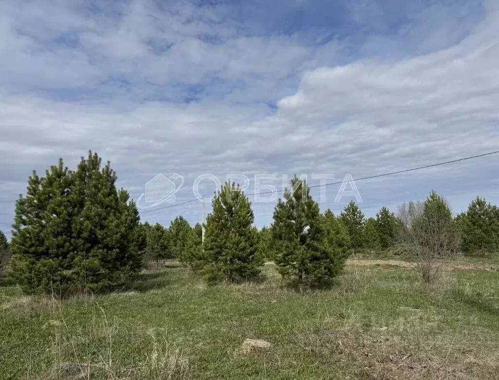 Участок в Свердловская область, Слободо-Туринский район, ... - Фото 1