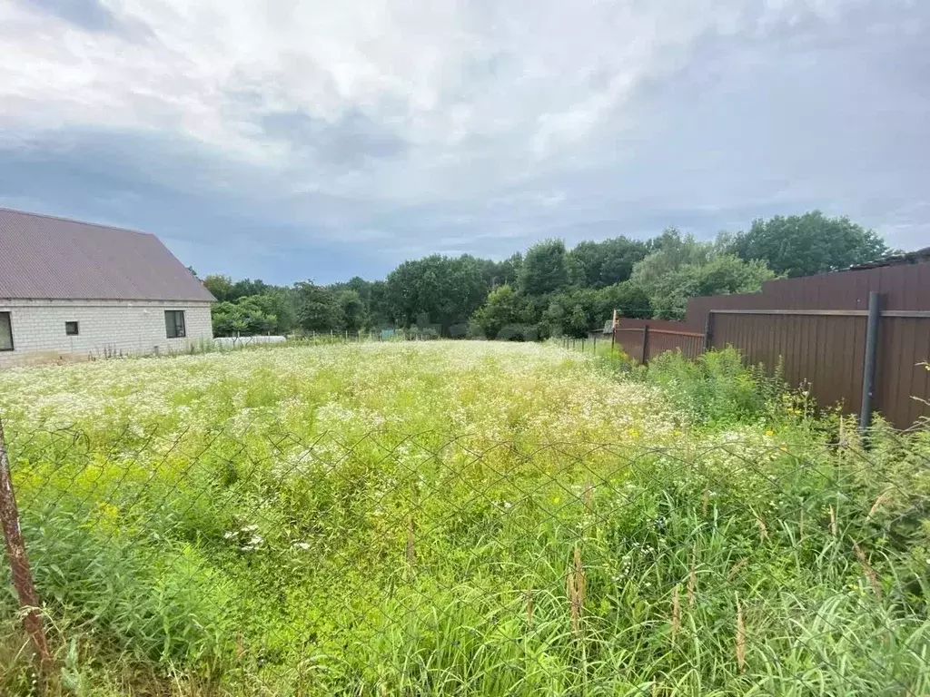 Участок в Брянская область, Брянский район, Снежское с/пос, с. ... - Фото 1
