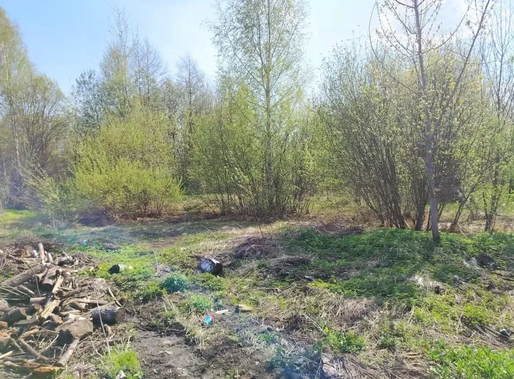 Участок в Московская область, Орехово-Зуевский городской округ, пос. ... - Фото 2