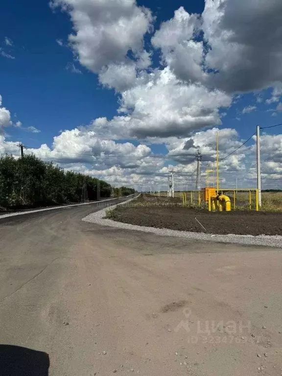 Участок в Воронежская область, с. Новая Усмань ул. Курская (10.0 сот.) - Фото 1