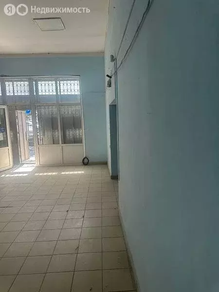 Помещение свободного назначения (220 м) - Фото 2