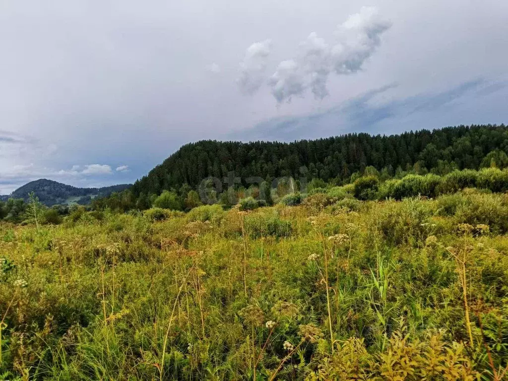 Участок в Алтай, Майминский район, с. Кызыл-Озек ул. Изумрудная, 29 ... - Фото 2