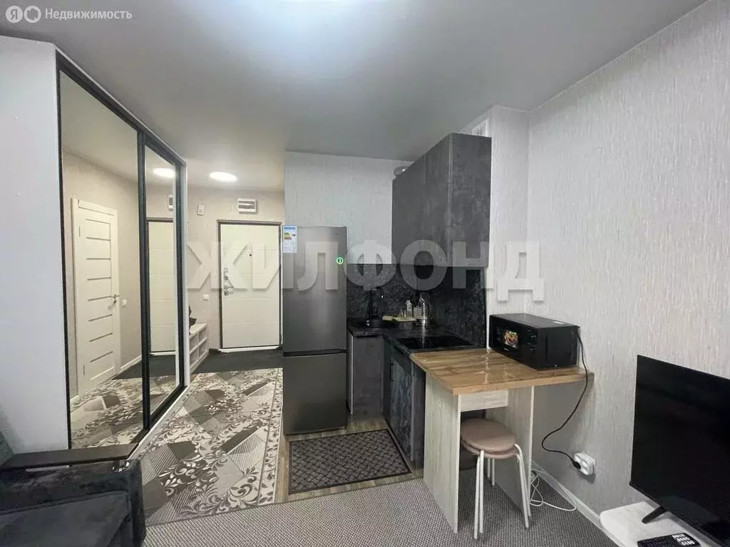 Квартира-студия: посёлок Садовый, микрорайон Околица, 2 (18 м) - Фото 2