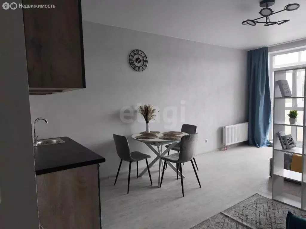 Квартира-студия: Пермь, Белозёрская улица, 30А (22.4 м) - Фото 2