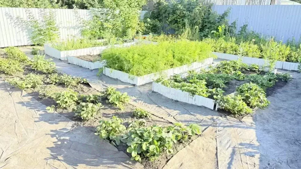 Дом в Омская область, Любинский район, пос. Камышловский  (10 м) - Фото 1