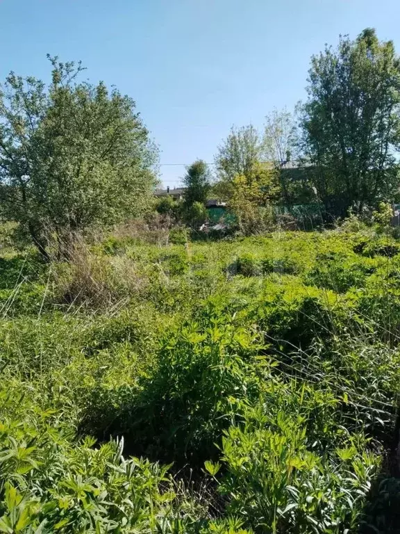 Участок в Московская область, Одинцовский городской округ, ... - Фото 1
