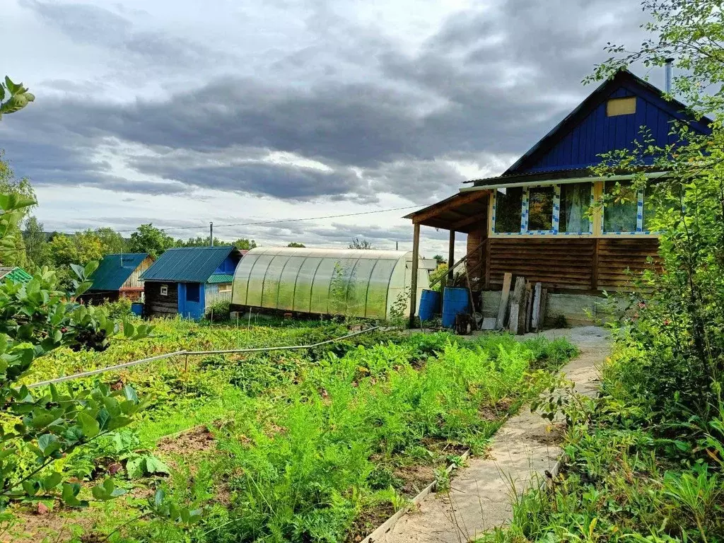 Купить Сад В Перми Недорого