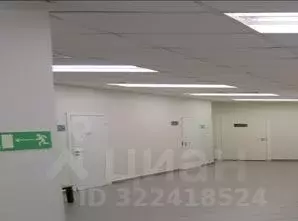 Помещение свободного назначения в Приморский край, Владивосток Дом на ... - Фото 1